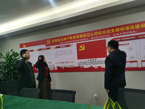安徽盐业地产集团机关第一党支部开展“佩党徽、诵誓词、赠党章、上党课”党员教育活动