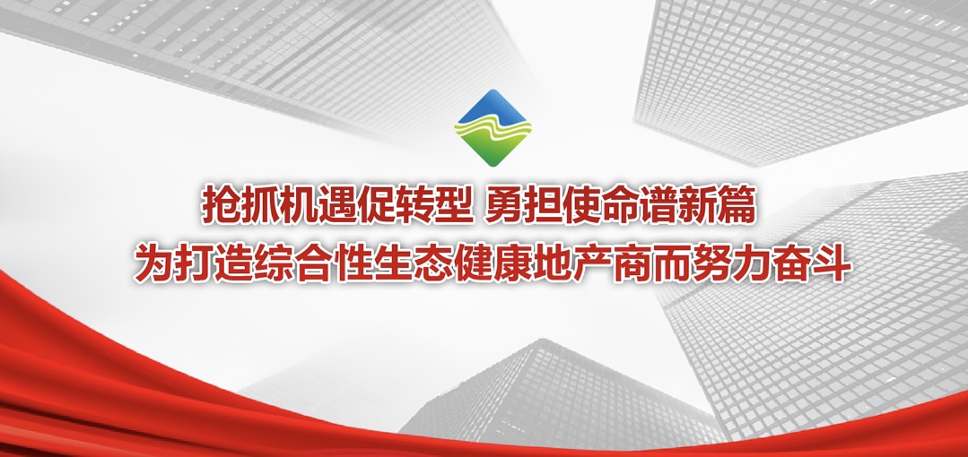 一图读懂省城市更新等三家公司2024年度工作会议报告